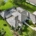 new metal roof install sun catcher roofing Port St Lucie